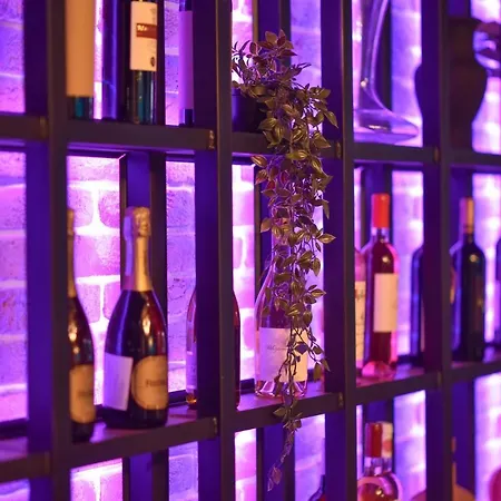 公寓式酒店 Srebrna Planina &